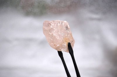 This undated handout picture released by Lucapa Diamond Company Limited on July 27, 2022 shows a 170 carat pink diamond -- dubbed The Lulo Rose -- that was discovered at the Lulo mine in Angola's diamond-rich northeast region - Ph. AFP