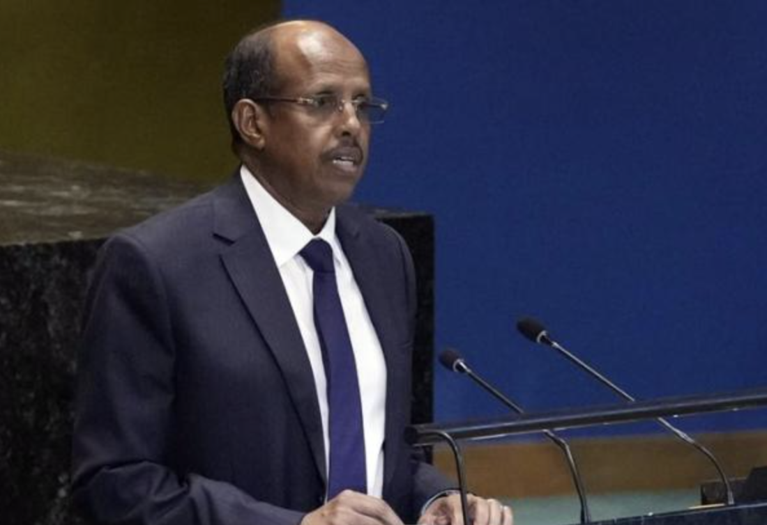 Ali Mahmoud Youssef