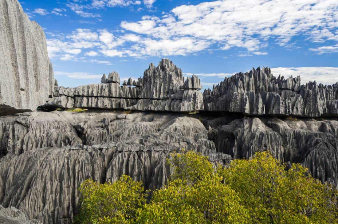 A view of the dry forests of Andrefana.






