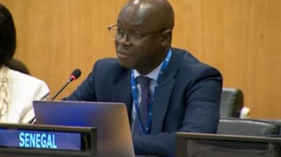The Deputy Permanent Representative of Senegal to the United Nations in New York, Ambassador Diamane Diome.







