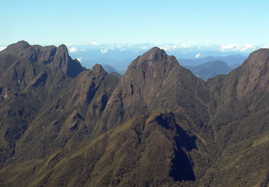 Atsinanana Rainforests