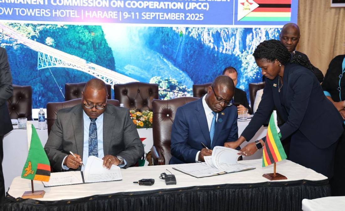 The Zambian Minister of Energy, Makozo Chikote, and the Zimbabwean Minister of Foreign Affairs and International Trade, Professor Amon Murwira.