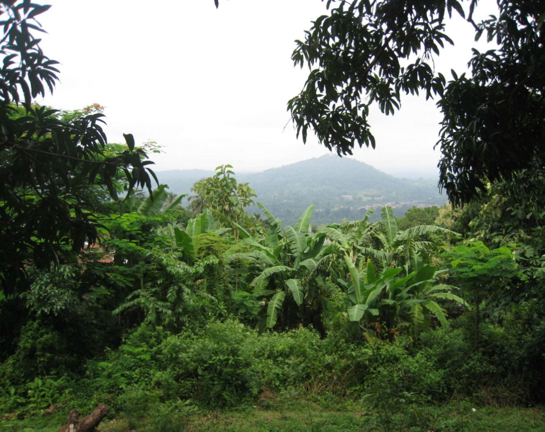 No Image Caption